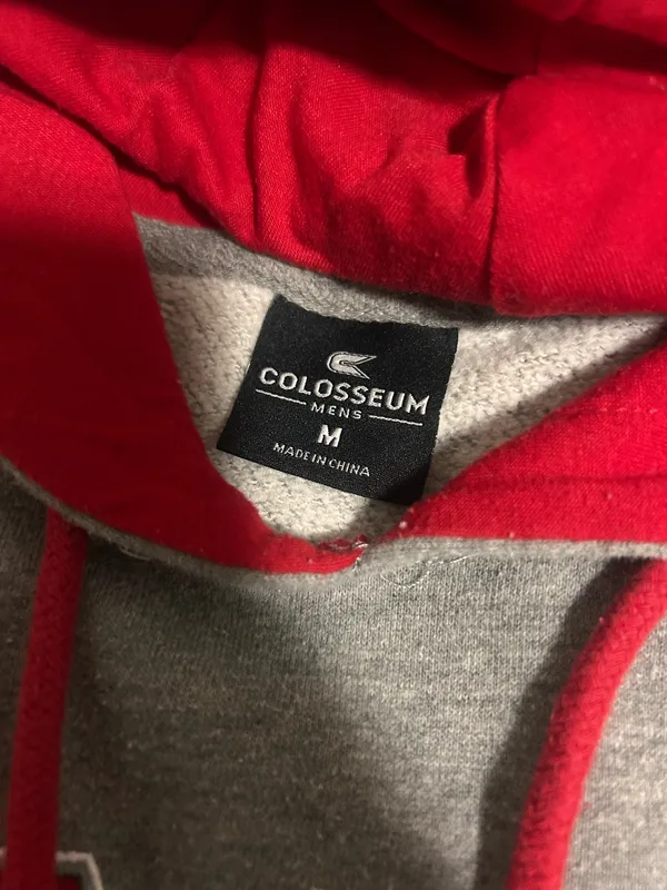 Colosseum Hoodie - Image 2
