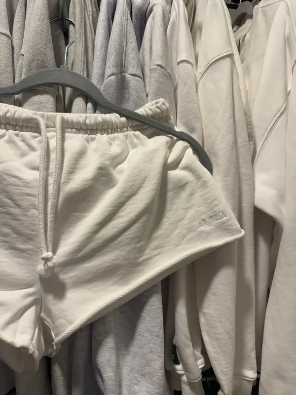Aritzia Shorts - Image 3