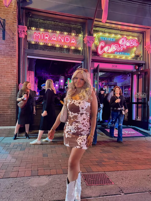 Show Me Your Mumu Dress - Image 4
