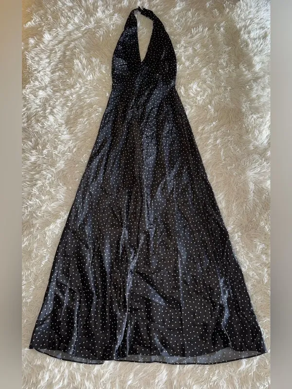 NEW Reformation Daniela Silk Selene Polka Dots Halter Maxi Sz 6 - Image 11