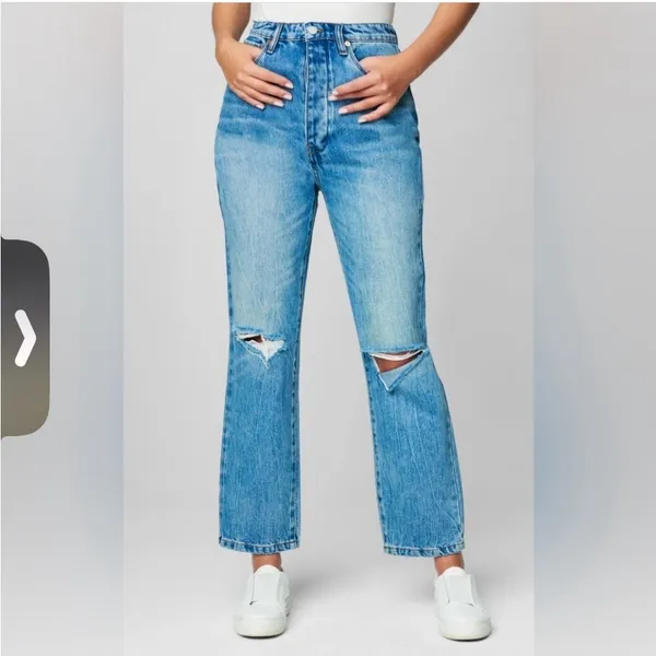 NWT BLANK-NYC‎ The Howard Mid-Rise Loose Fit Jeans Sz 26 - Image 2