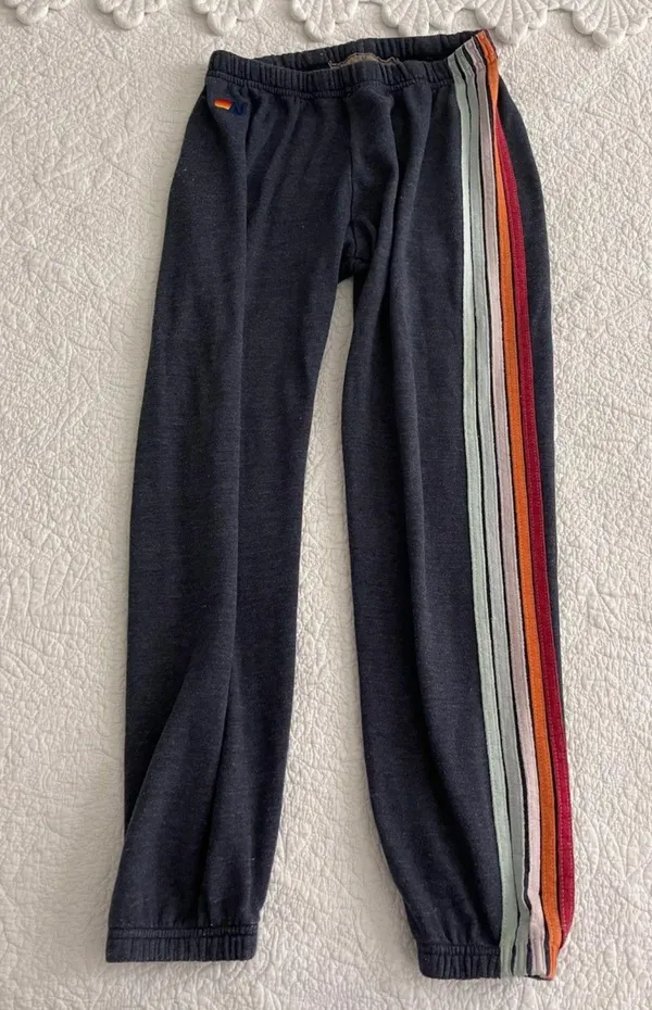 Aviator Nation Sweatpants - Image 4