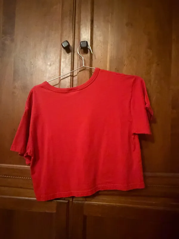 Champion Cropped T-Shirt - Image 3
