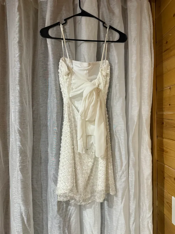 Homecoming Dress- The Prettiest Dress!! - Image 4