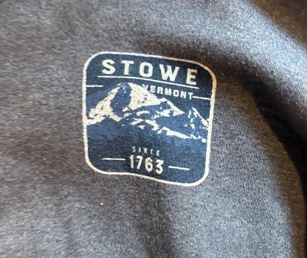 Stowe sweatshirt Gray - Image 2