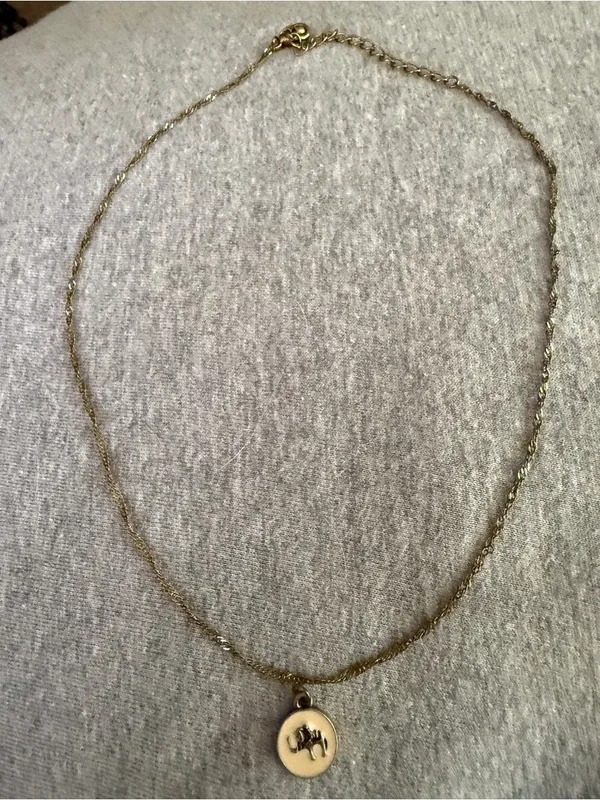 Gold Charm Elephant Disc Necklace - Women Jewelry - Image 3