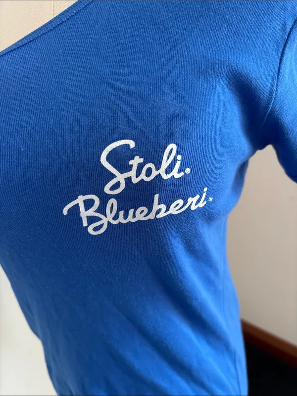 Bella Royal Blue V-Neck Short Sleeve Tee with White Script Stoli Blueberi - Image 4