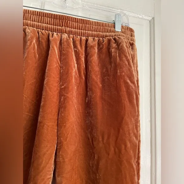 Madewell Track Pants‎ in Brown Velvet with Pockets - Image 5