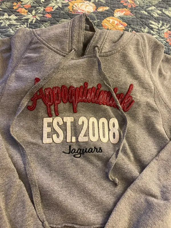College House Appoquinimink Hoodie - Image 2