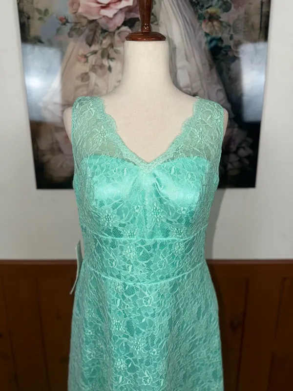Beautiful New Azazie Alma Lace Fit-and-Flare Dress - Image 4