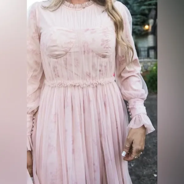 Ivy City Co NWT‎ Last Songbird Pink Fairy Whimsical Modest Midi Dress Medium - Image 2