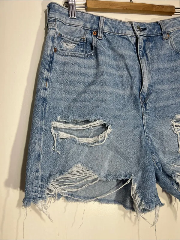 American Eagle Outfitters Light Blue baggy mom short size 12 - Image 3