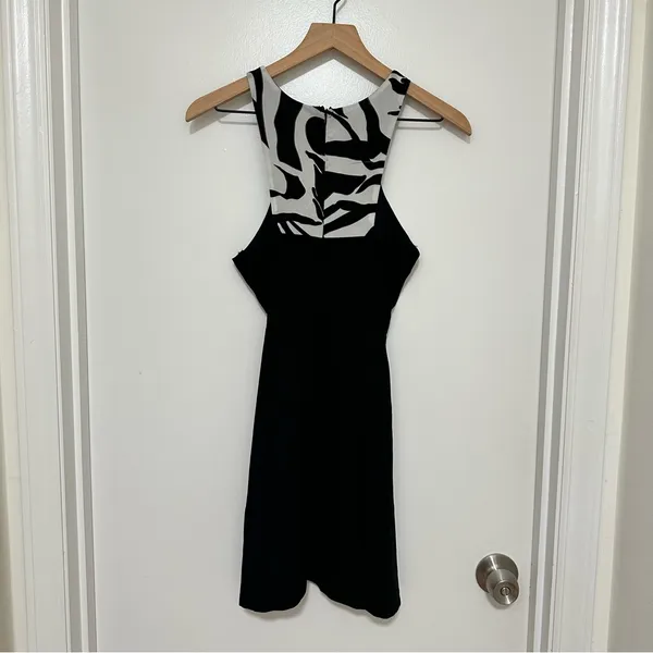 PNIINA | Black and White‎ Zebra Print Dress - Image 2