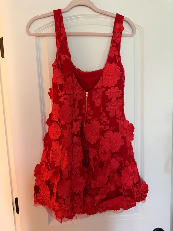 Showpo Dress - Image 3