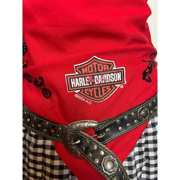 2004 Harley Davidson Lady Rider Bandana Red Tribal Motorcycle Y2K Biker Scarf - Image 3
