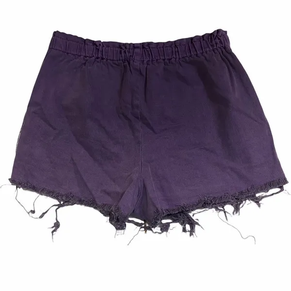 Urban Renewal Plum High Waisted Purple Shorts‎ Summer Medium Pocket - Image 2
