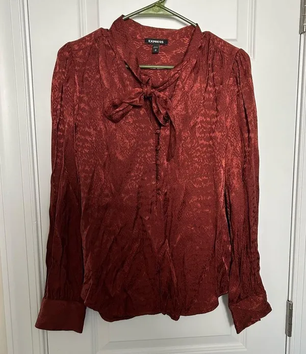 Express Long Sleeve Pussycat Bow Blouse Brown Size S - Image 3