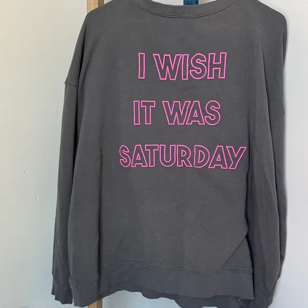 Wildfox Gray Sweatshirt with Pink Text - Image 2