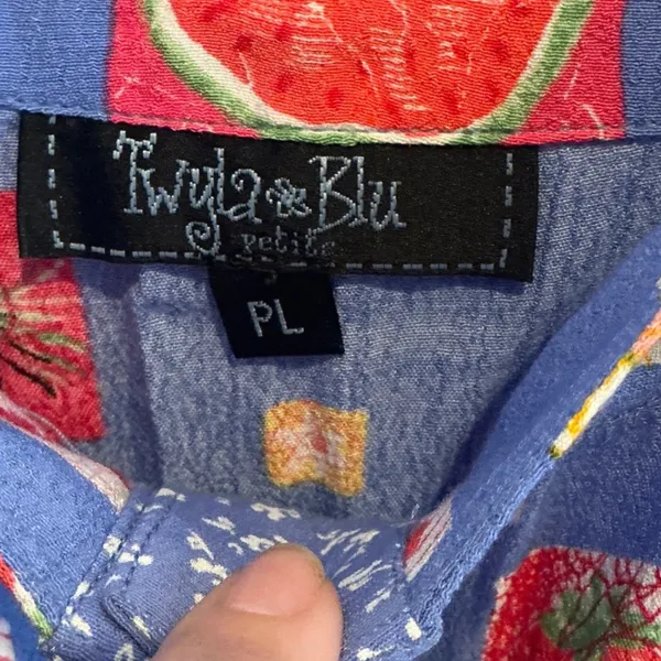 Vintage Twyla Blu Petite L Blue Fruit Floral Rayon Maxi Jumper Dress 90s Whimsy - Image 5