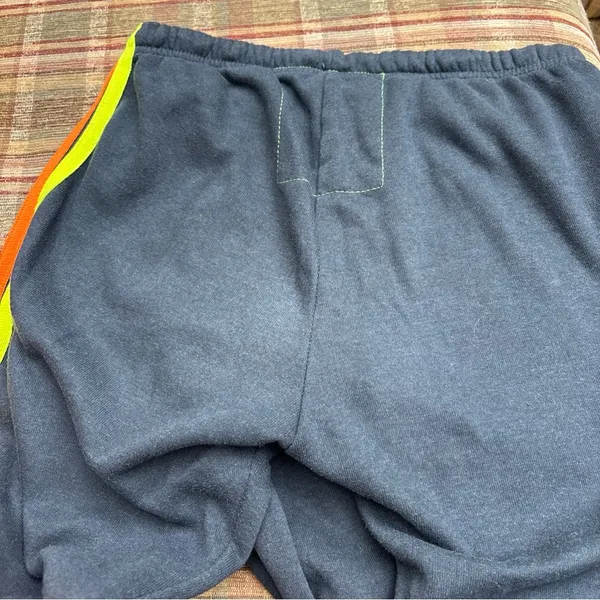 Aviator Nation Gray Sweatpants with Multicolor Stripes - Image 6
