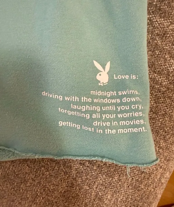 Playboy Bunny PacSun Shorts - Image 2