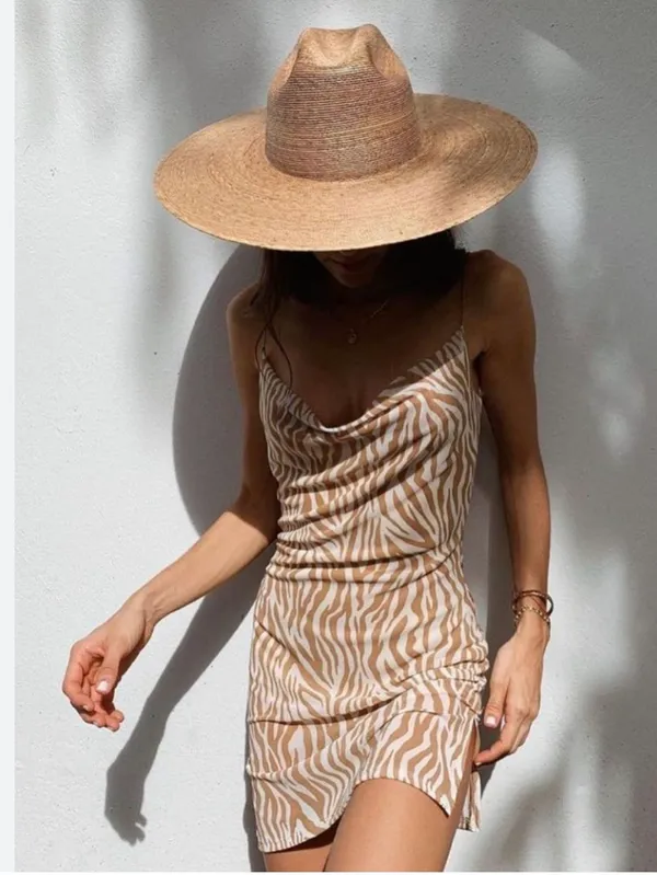 Zebra Animal print mini dress Brown - Image 3