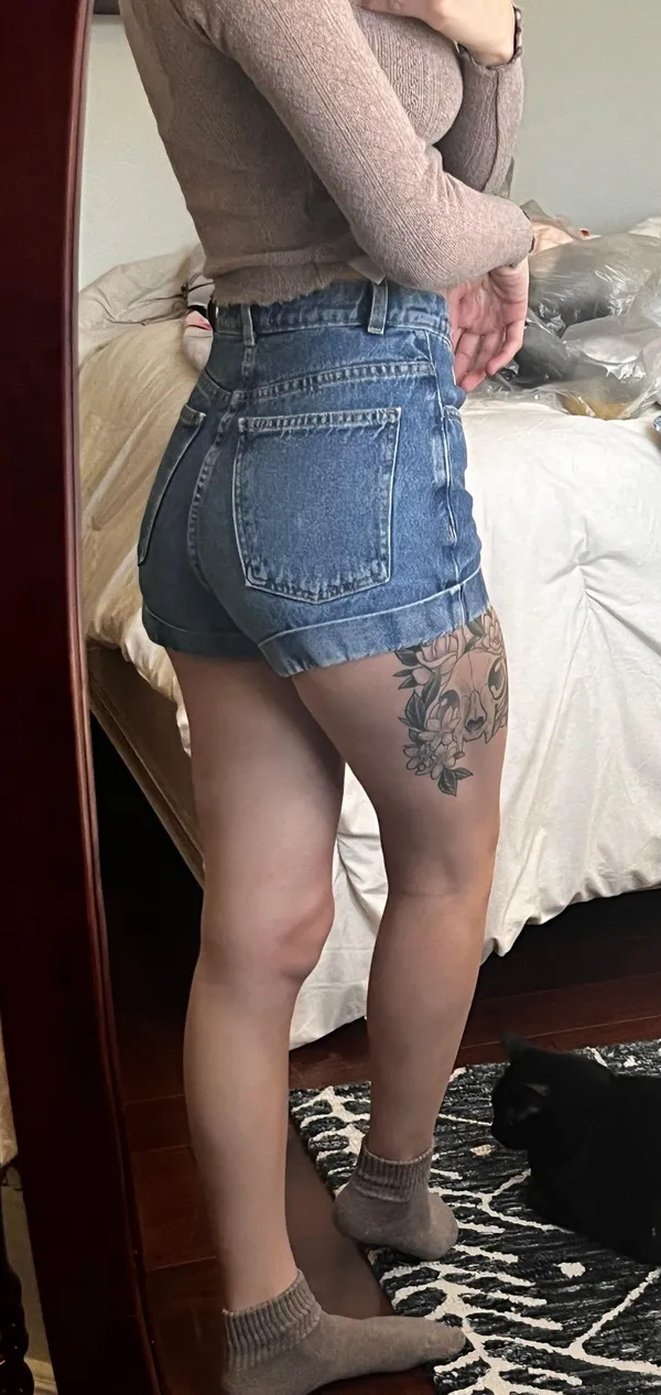 American Apparel Shorts - Image 3