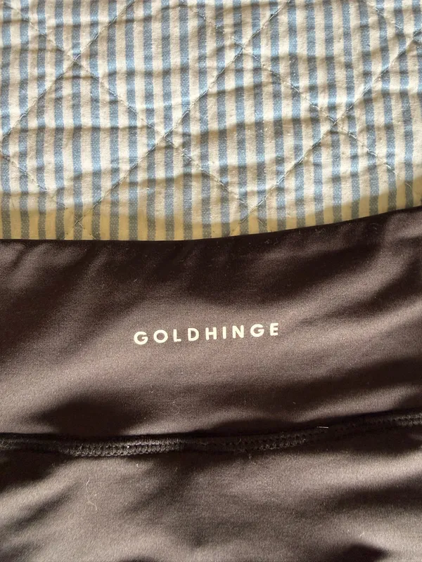Gold Hinge Gold Skirt - Image 3