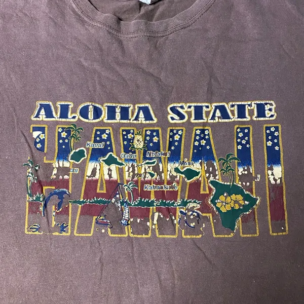 Brown Hawaii Graphic T-Shirt size XL - Image 2