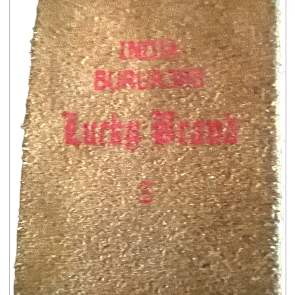 Lucky Brand Embroidered Cream and Brown Belt - Image 7