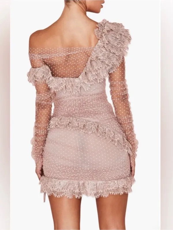 NEW House of CB Sorrel Tulle Asymmetric Minidress - Image 5
