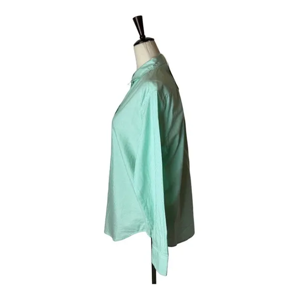 Everlane Button Down Women 4 Green White Stripe NWT Cotton Relaxed Oxford Shirt - Image 5