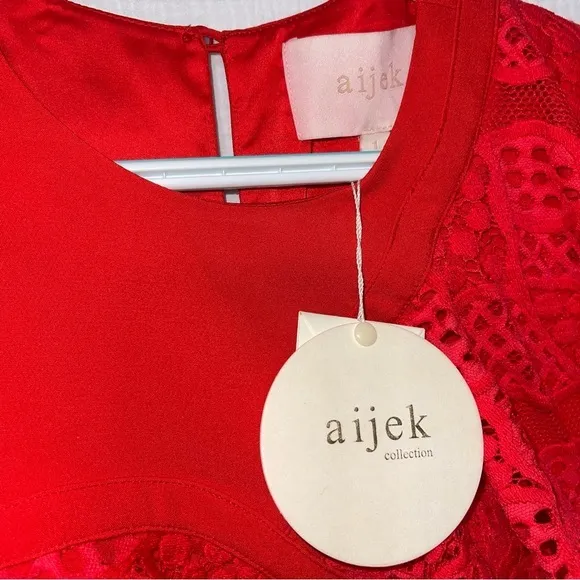 Revolve Aijek Mae Ruffled Lace Mini Dress‎ in Rouge NWT - Image 6