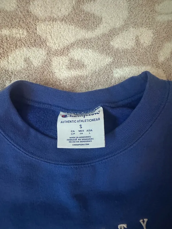 UB Champion Sweatshirt - Image 3
