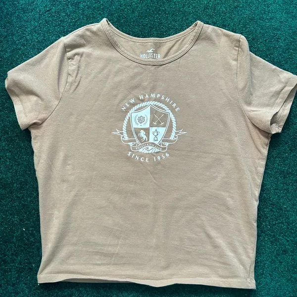 Brown Hollister Baby Tee - Image 2