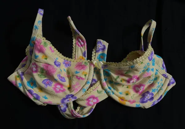 Blackbough Bikini - Image 3
