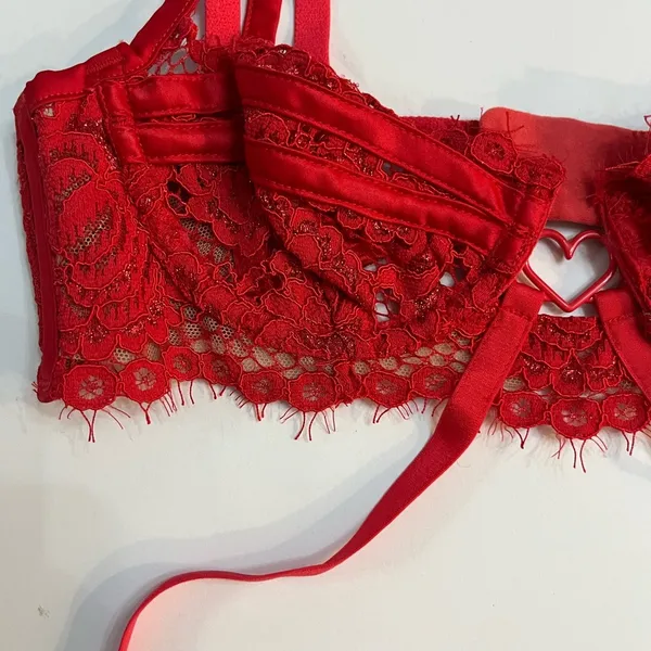 NWT For love & lemons Rosa‎ Red lace underwire strappy bra hearts Rose - Image 4
