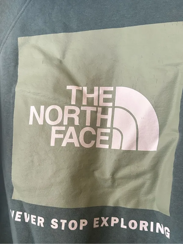 The North Face Graphic Hoodie Pullover Sweatshirt Logo Blue Gorpcore Size Small - Image 5