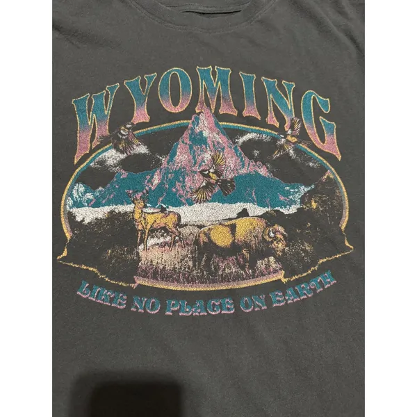 Mighty‎ Fine Wyoming Graphic T-Shirt Womens Medium Gray Souvenir Bison Mountain - Image 2