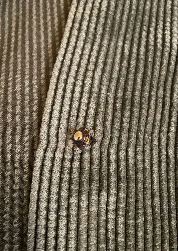 Wild Fable Corduroy Jacket - Image 3