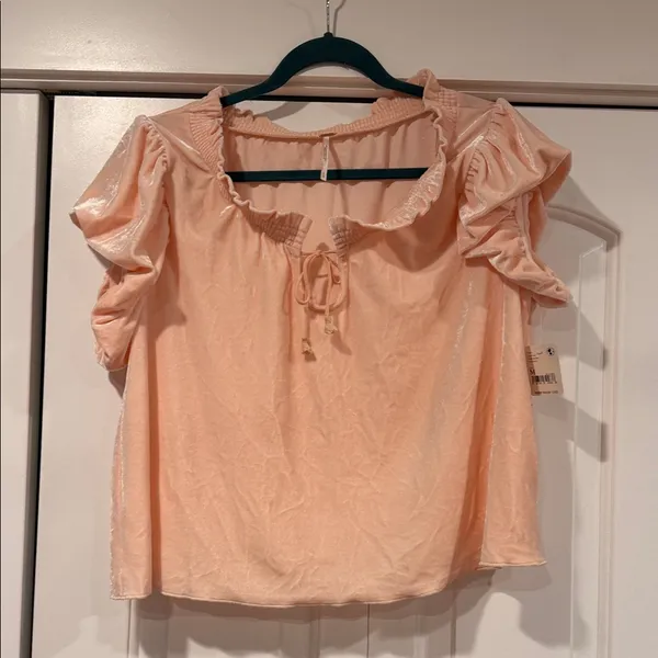 Free People Terese Blush‎ Ruffled velvet Blouse medium NWT - Image 3