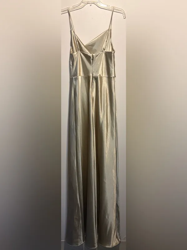 Birdy Grey NWT Lisa Long Shiny Satin Dress Neutral Champagne Size M - Image 4