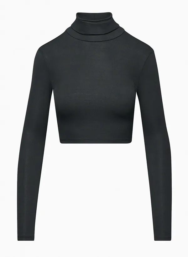 Aritzia Cropped Ribbed Turtleneck - Image 3