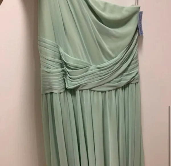David’s bridal bridesmaid dress - Image 3