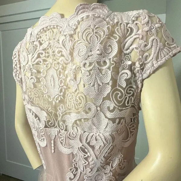 Chi Chi London Lace Premium Lace Midi Prom Dress With Bardot Neck In Mink - Image 12