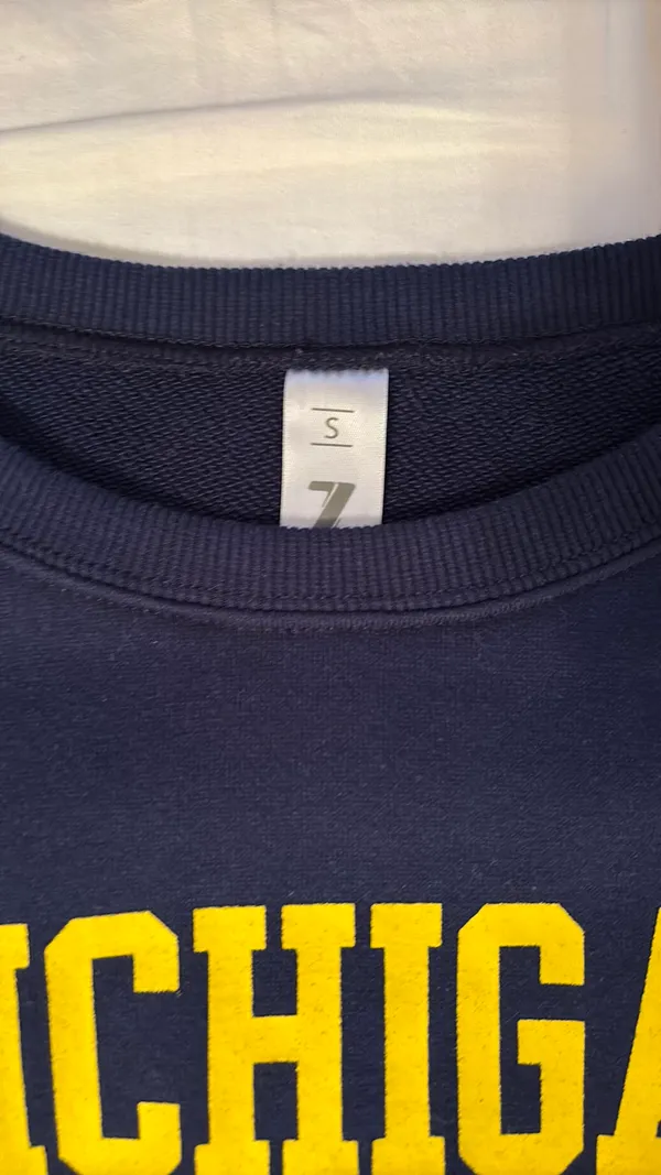 University of Michigan Cropped Sweatshirt - Image 3