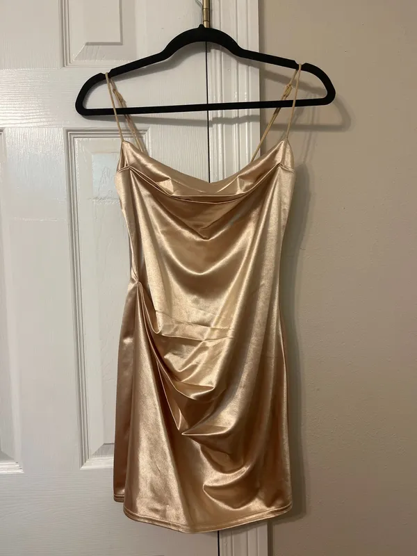 Lucy in the Sky Champagne Body on dress - Image 3