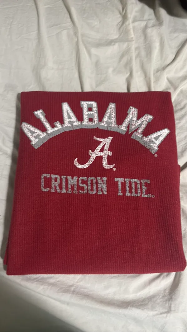 Alabama Pullover Champion - Image 4