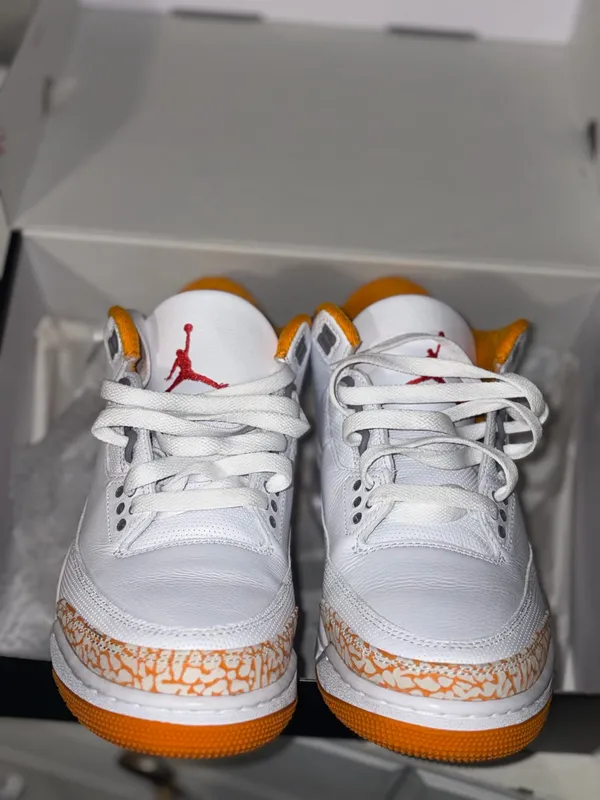 Air Jordan Retro 3 - Image 3