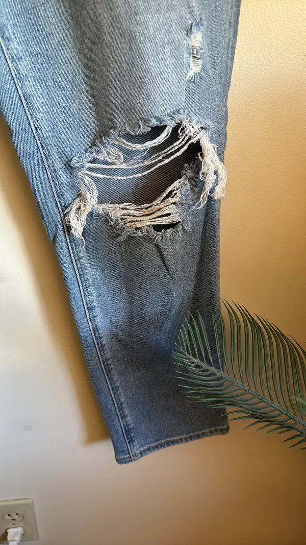 American Eagle curvy mom Jean - Image 4